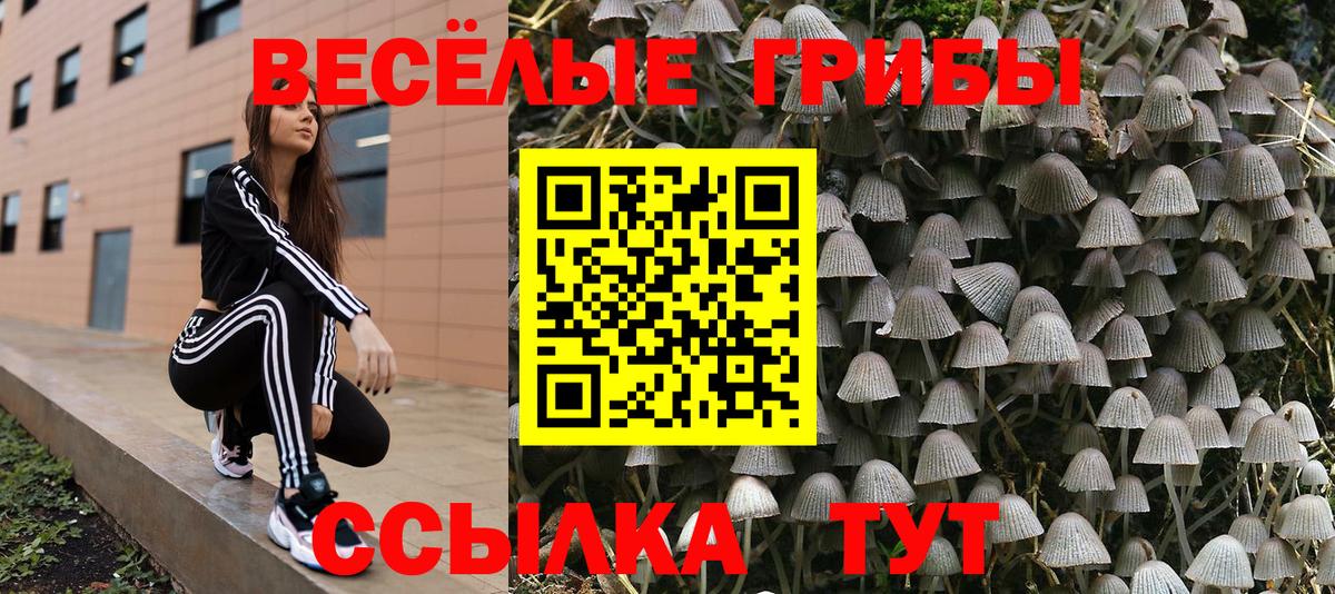 Псилоцибиновые грибы Magic Shrooms  Вход с VPN  Сатка 